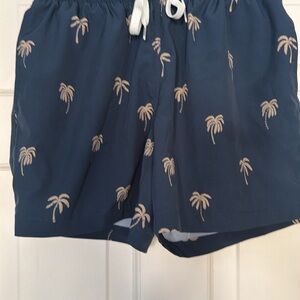 Chubbies Navy Palm Tree Print Men's Shorts